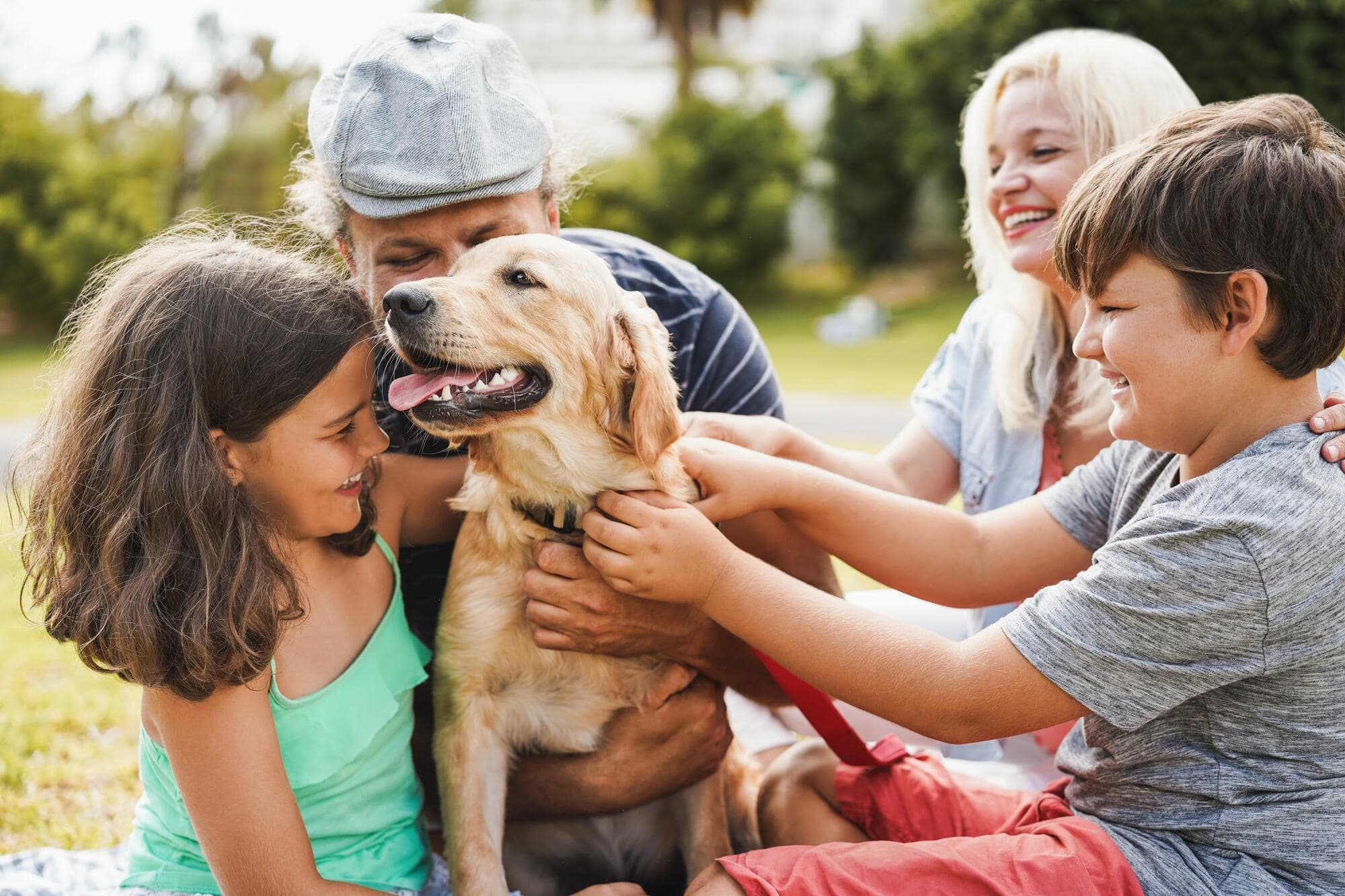 Support Animals in an HOA: Essential Guidelines and Compliance Tips for Management