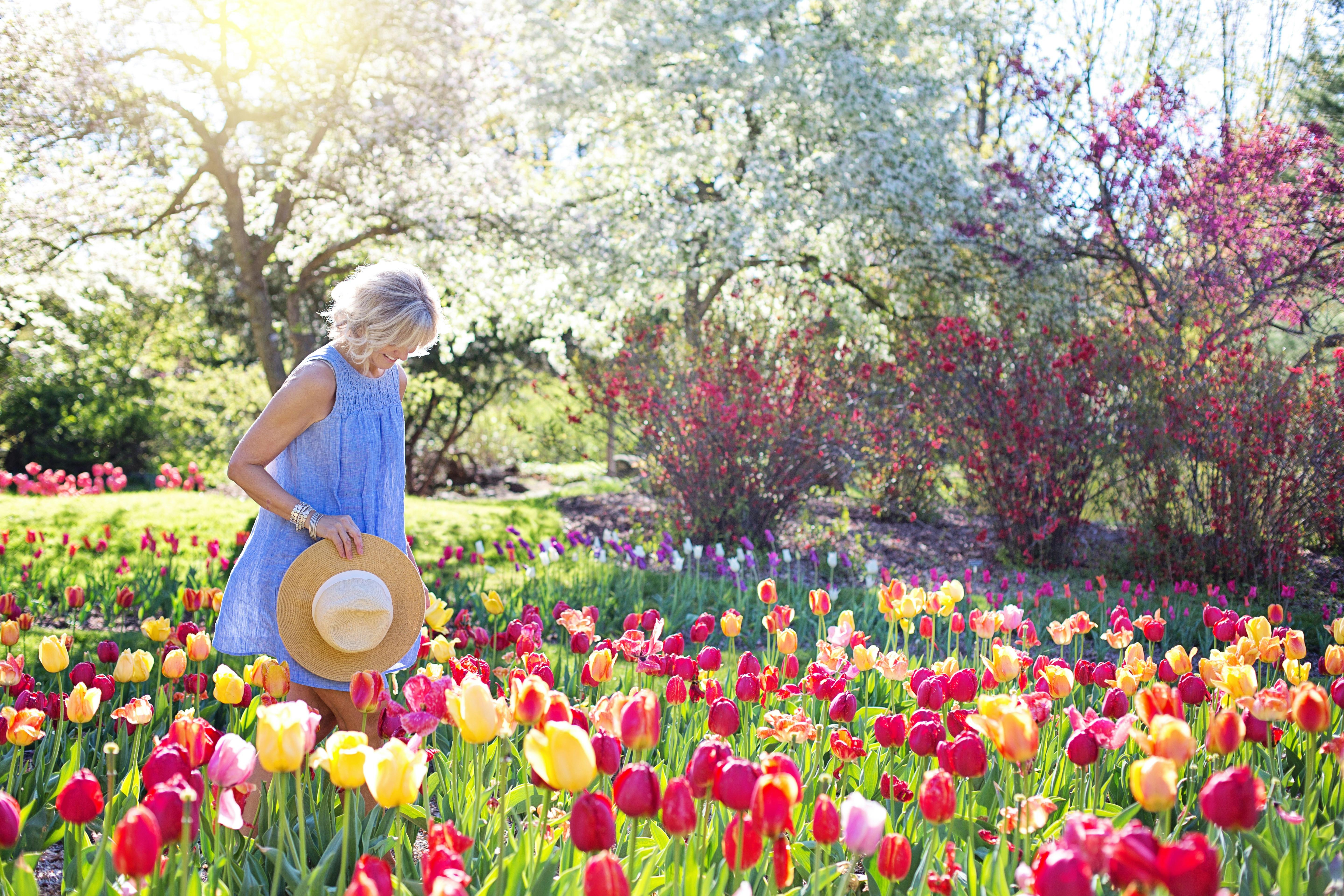 Springtime in North Texas